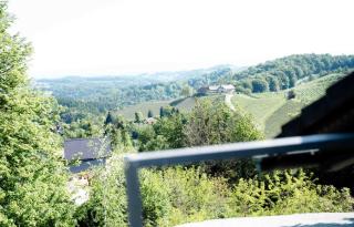 Das Gretlnest Appartements mit Naturbadeteich - Gamlitz - 7