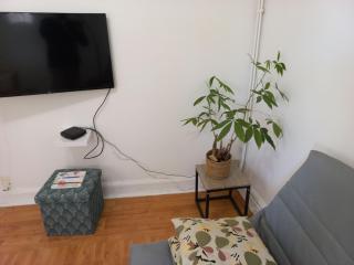 Superb 80 m Duplex in Mulhouse Ideal Location - Mulhouse - 3