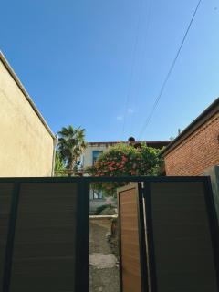 Sunflower - Telavi - 9