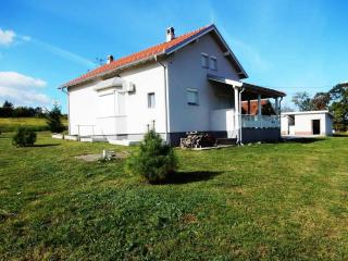 Self-catering new villa,Sumadija, village Grivac - - 2