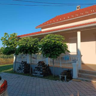 Self-catering new villa,Sumadija, village Grivac - - 9
