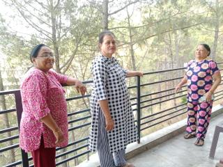 Pinecresté Kasauli - - 1