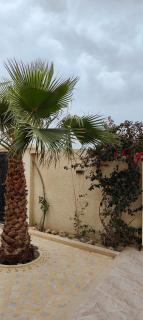 Villa Nour Kélibia - Kelibia - 2