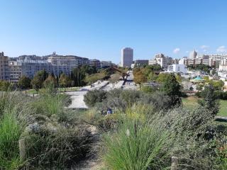 Lumineux studio 30 m2 Parc 26ème centenaire - 0