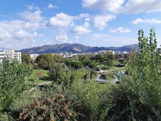 Lumineux studio 30 m2 Parc 26ème centenaire - 9