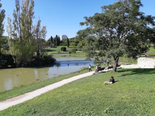 Lumineux studio 30 m2 Parc 26ème centenaire - 7