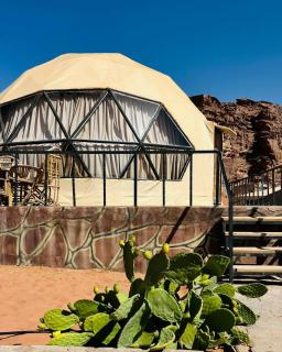 Galaxy Star - Wadi Rum - 8