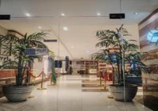 اجنحة الفرسان حى الفيصلية اماسي البشاير - 7