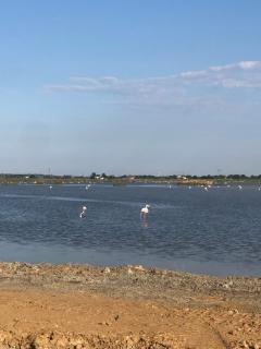 Tiny house on the beach - 8