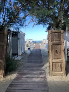 Tiny house on the beach - 7
