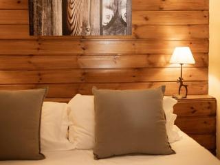 Duplex 6P, 12 Pers, 4*, Sud, Terrasse, Animaux OK, Sauna, Proche Pistes et Commerces - FR-1-263-358 - Valloire - 4