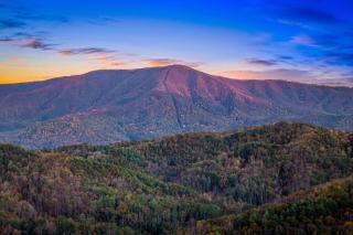 WavyLeaf - Sevierville - 0