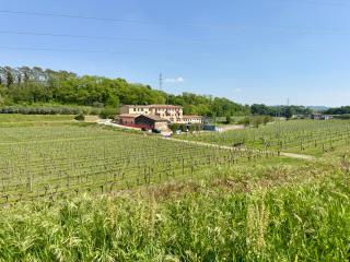 La Casa di Lina - Bardolino - 7