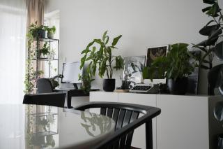 Artist's Home - Urban Oasis - Budapest - 5