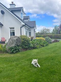 Glenfarne House - Galway - 5