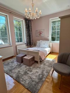 Villa Otolice obok Łowicza, 6 sypialni, basen, sauna, snooker, 50 minut od Warszawy i Łodzi - Łowicz - 9
