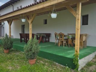 Pensiunea Ileana - Novaci-Străini - 8