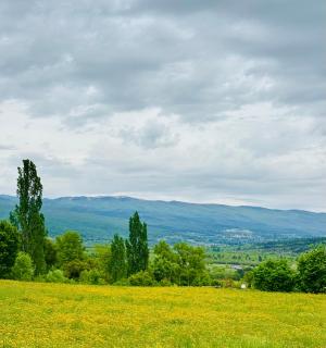L Ostau de la Treille - Limans - 9