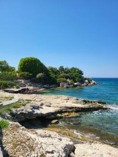 Alexia's resorts - Samos (Samo) - 1