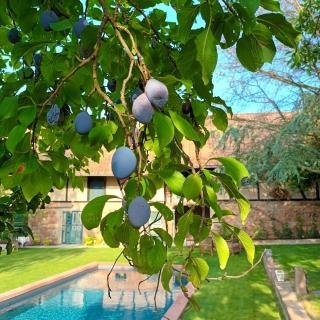 Domaine LaPromise - - 9