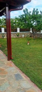 Seaside Family Villa - 7