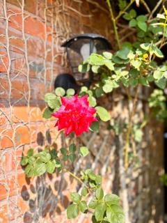 Cosy Countryside Cottage in an Area of Outstanding Natural Beauty - Barham - 5