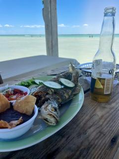 HOLBOX PUERTA DEL MAR - Isola Holbox - 8