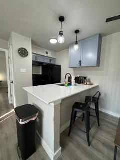 DOWNTOWN DALLAS LUX ABODE 1BD - Dallas - 1