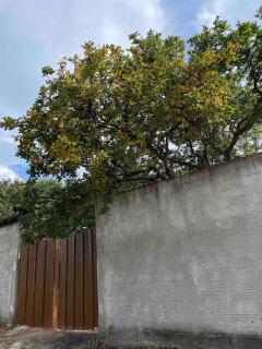 New and beautiful house that can accommodate 10 guests - Barreirinhas - 6