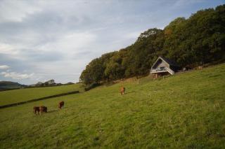 Oolert Treehouse - Hundred House - 3