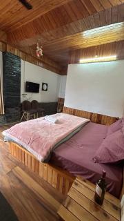 The himalayan sukoon villa near jibhi - 5