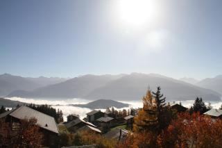 Chalet Alpage - Anzère - 4