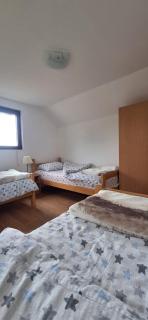 Apartments Stari Jasen Uvac - Sjenica - 7