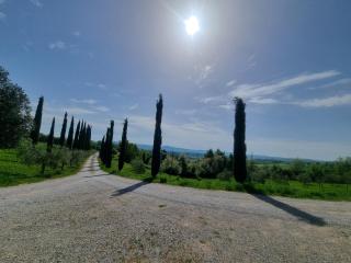 Le Crete Senesi - Asciano - 9