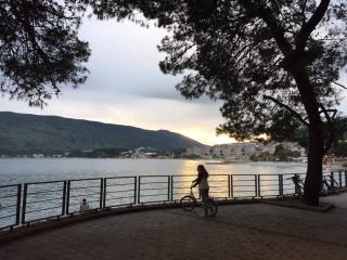 Large apartment with seaview - Topla - 5