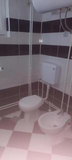 Dimitrijević apartmani - Bukorovac - 9