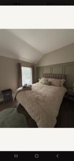 Harding Haven - Derry - 4