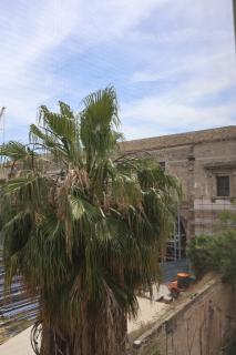 Palazzo De Gregorio - Apartments - Palermo - 8