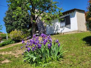ApróLak Apartman Zalakaros - Zalakaros - 6