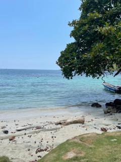 Mi casa es tu casa- Glamping y Casa de Campo - 4