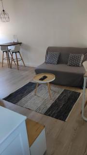 Studio Cosy centre Toulouse - Toulouse - 1