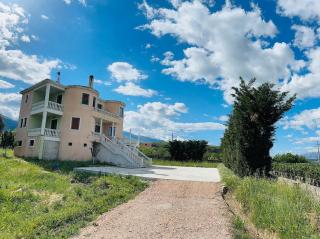 Lazos villas - Gjirokastër - 3