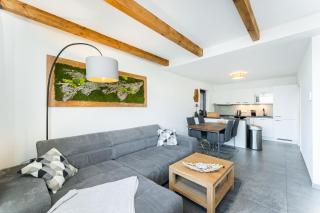 Mezonetový apartmán se dvěma ložnicemi v rodinné vile - Prag - 9