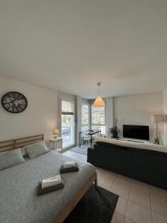 Free Parking - Near the Lake - Lugano apartment - 1