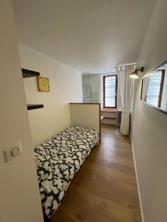 Superbe appartement atypique au cœur de Mulhouse - Mulhouse - 8