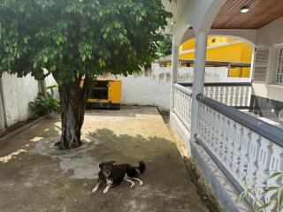 Vila Dolores Guesthouse - São Tomé - 4