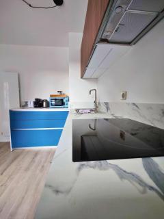 La treille Vieux-Lille - 4 pers - Parking - Lille - 8