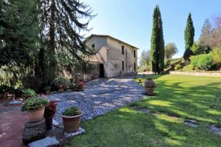 Il Gallo d' Oro - Scoiattolo -  - 5