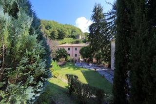 Il Gallo d' Oro - Scoiattolo -  - 4