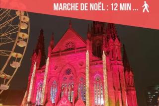 Ideal - Quiet garden - Free parking Eurovision - Mulhouse - 1